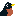 American Robin