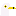 Ring-Billed Gull