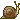 Un Escargot Tout Chaud