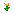 Dandellion