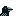 American Crow