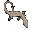 cicak