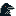 Common Raven