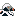 Long-Tailed Duck