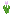 Pink Tulip