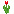 Red Tulip