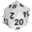 roll for d20