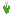 White Tulip