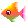 eyntivemds pet fish