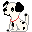 dalmatian