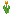 Orange Tulip