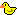 Rubber Ducky !