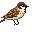 The Humble Sparrow