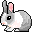 bunny bunny bunny bunny bunny 