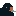 Black Scoter