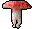 funguy