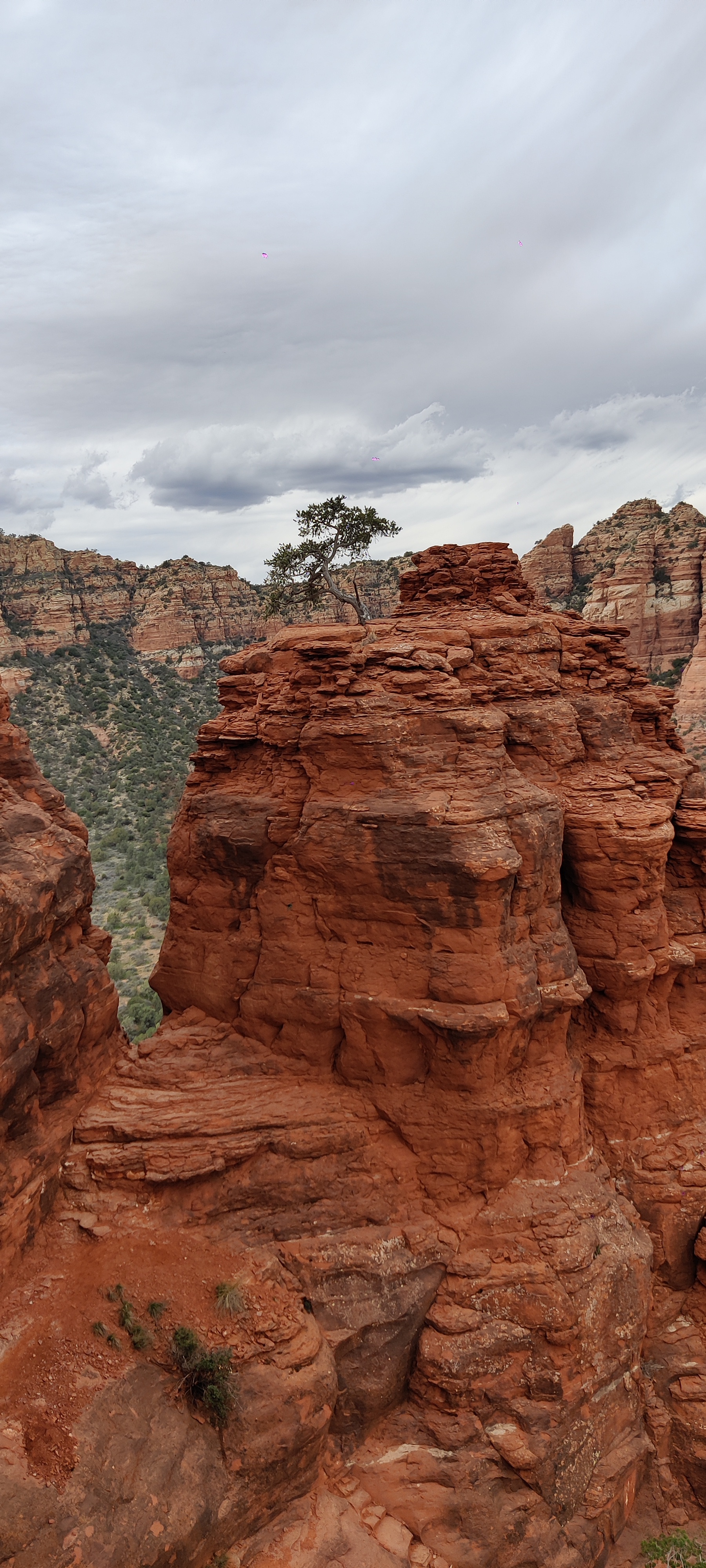 hiking from 2026.
