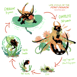 The Life Cycle of the Pond Dragon