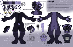 Aries ref sheet 2025