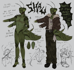 Mantis Guy