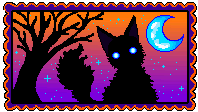 kitty