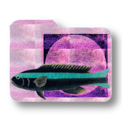 Satellite Slumber Party Folder Skins! #1