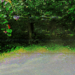 a walk in the local park