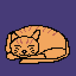 A sleeping cat