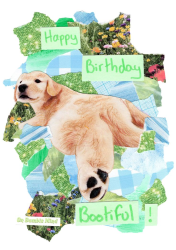 Happy Birthday Card ×2