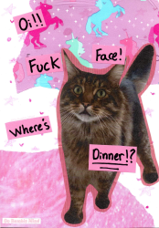 Where's dinner