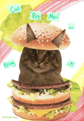 Cat big mac