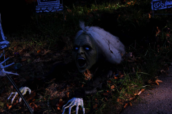 Boo!
