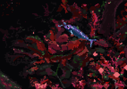 Ghost fish in pink planted tank