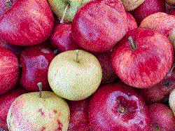 Apples