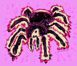 joh spider comm nov 7 2025.png