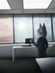 Office sun