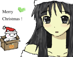 Merry Christmas!! ＼(＾∀＾)メ(＾∀＾)ノ