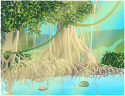 The Mangroves