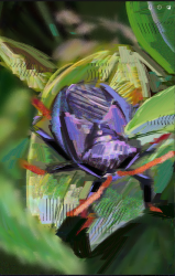 bug study in heavypaint