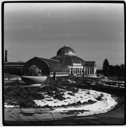 Como Park Conservatory