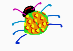 Bug :0