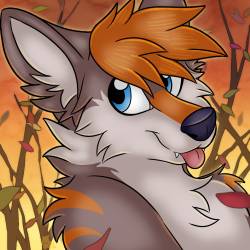 COMM: Awoozy