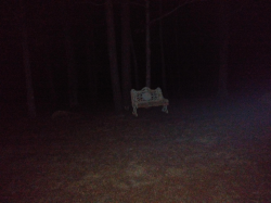 The Nowhere Bench