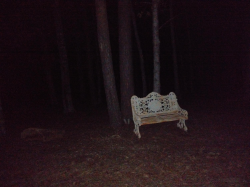 Why is this here? It wasnt supposed to exist. ×3