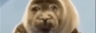 sad seal meme 88x31