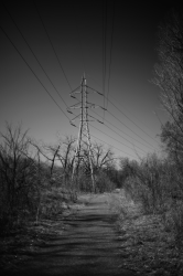 Highvoltage Beckons ×2