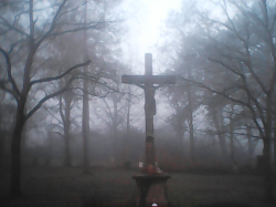 Cemetery of the "Districts Lunatic Asylum" #22
