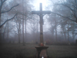 Cemetery of the "Districts Lunatic Asylum" #21
