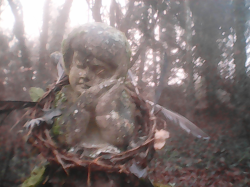 Cemetery of the "Districts Lunatic Asylum" #19