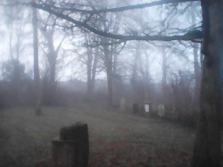 Cemetery of the "Districts Lunatic Asylum" #17